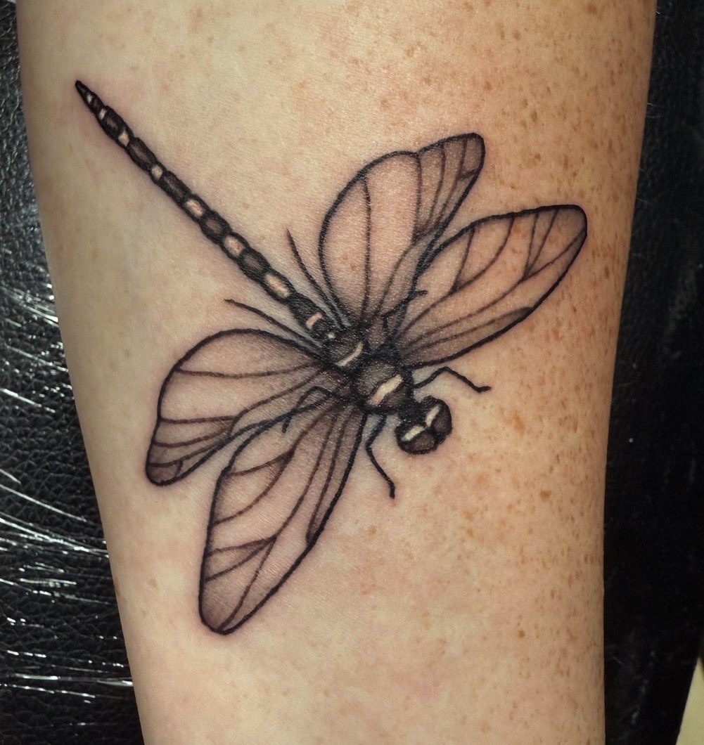 Allie Rebelo portfolio piece 9