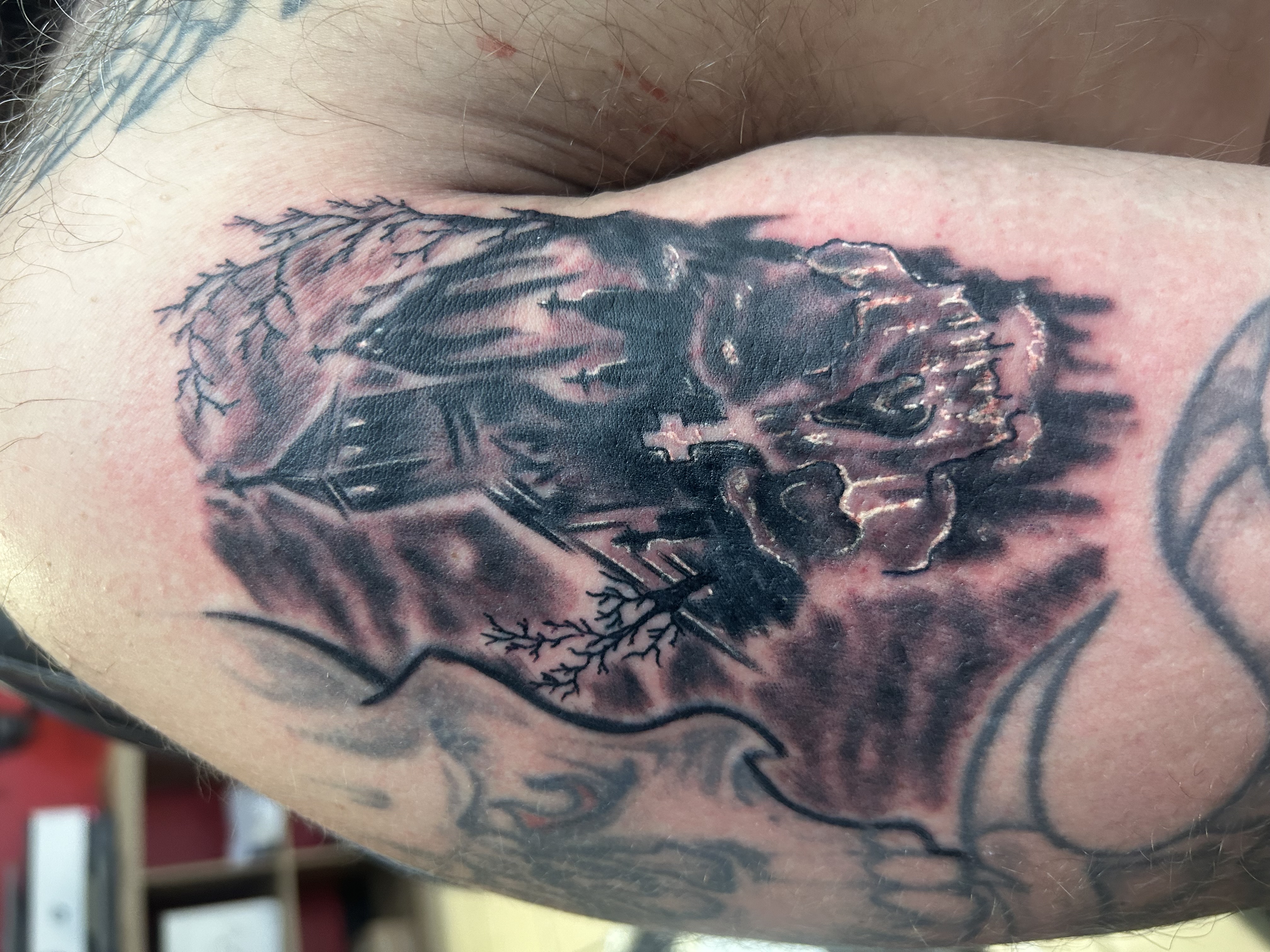 Aires (AJ) Silveira portfolio piece 4